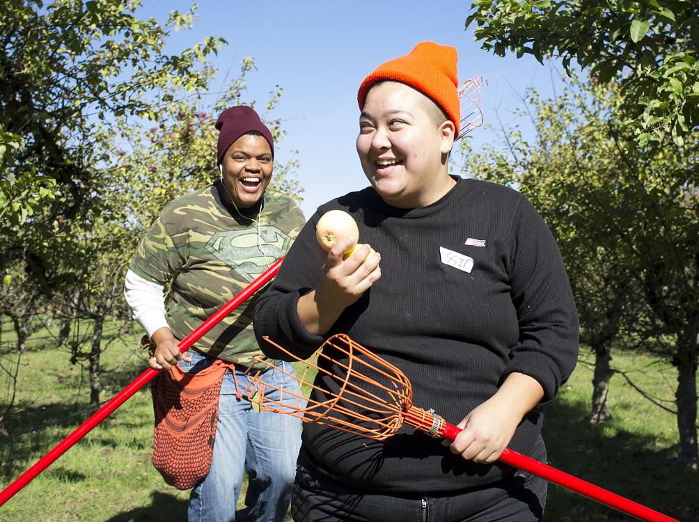 Photo 3 from Portland Fruit Tree Project